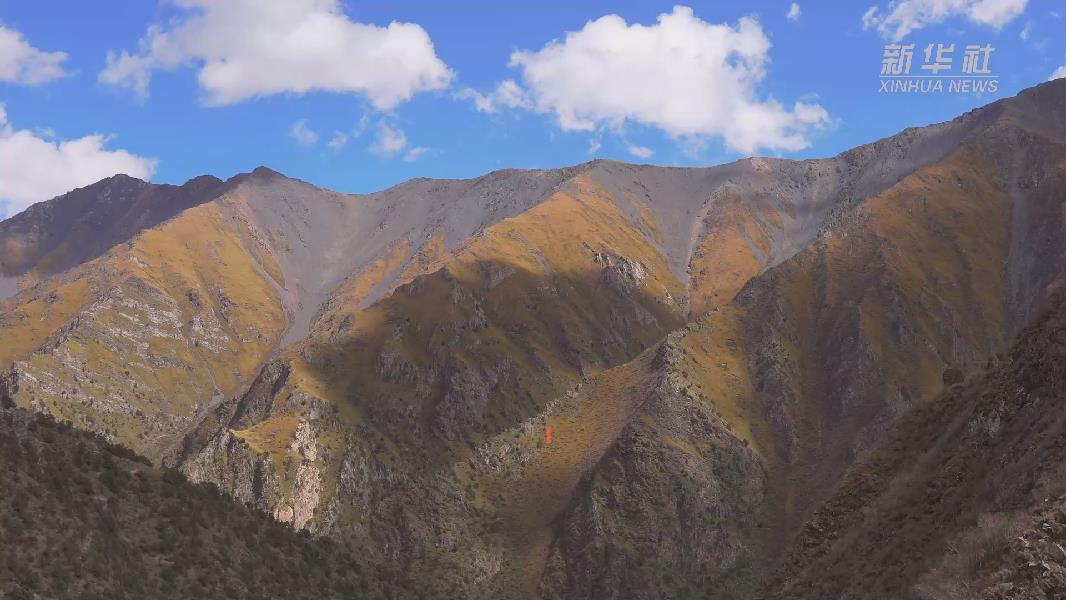 4362張照片！他們在這里堅持10年開展雪豹種群動態(tài)研究