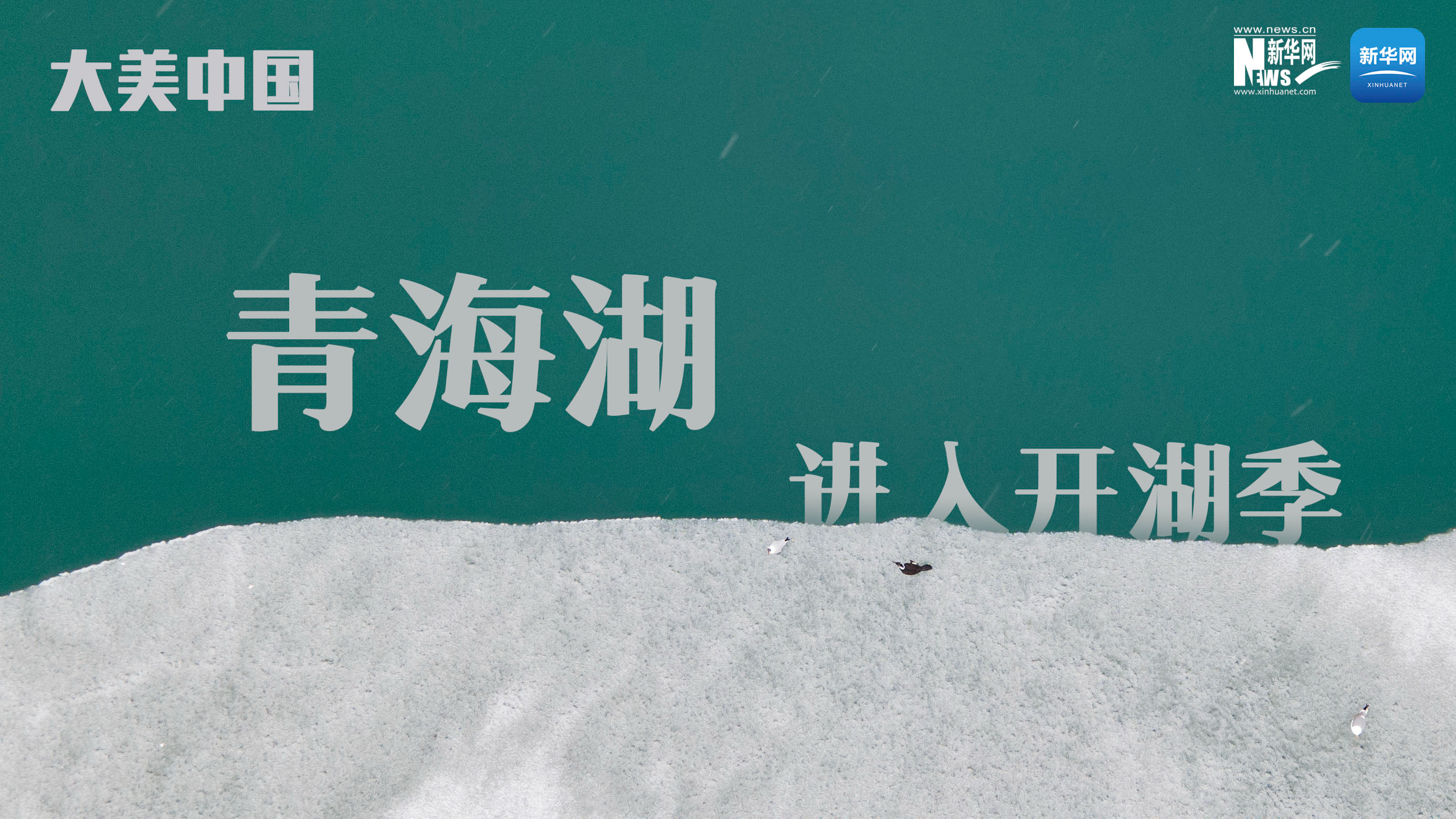 大美中國(guó)丨青海湖進(jìn)入&ldquo;開湖季&rdquo;